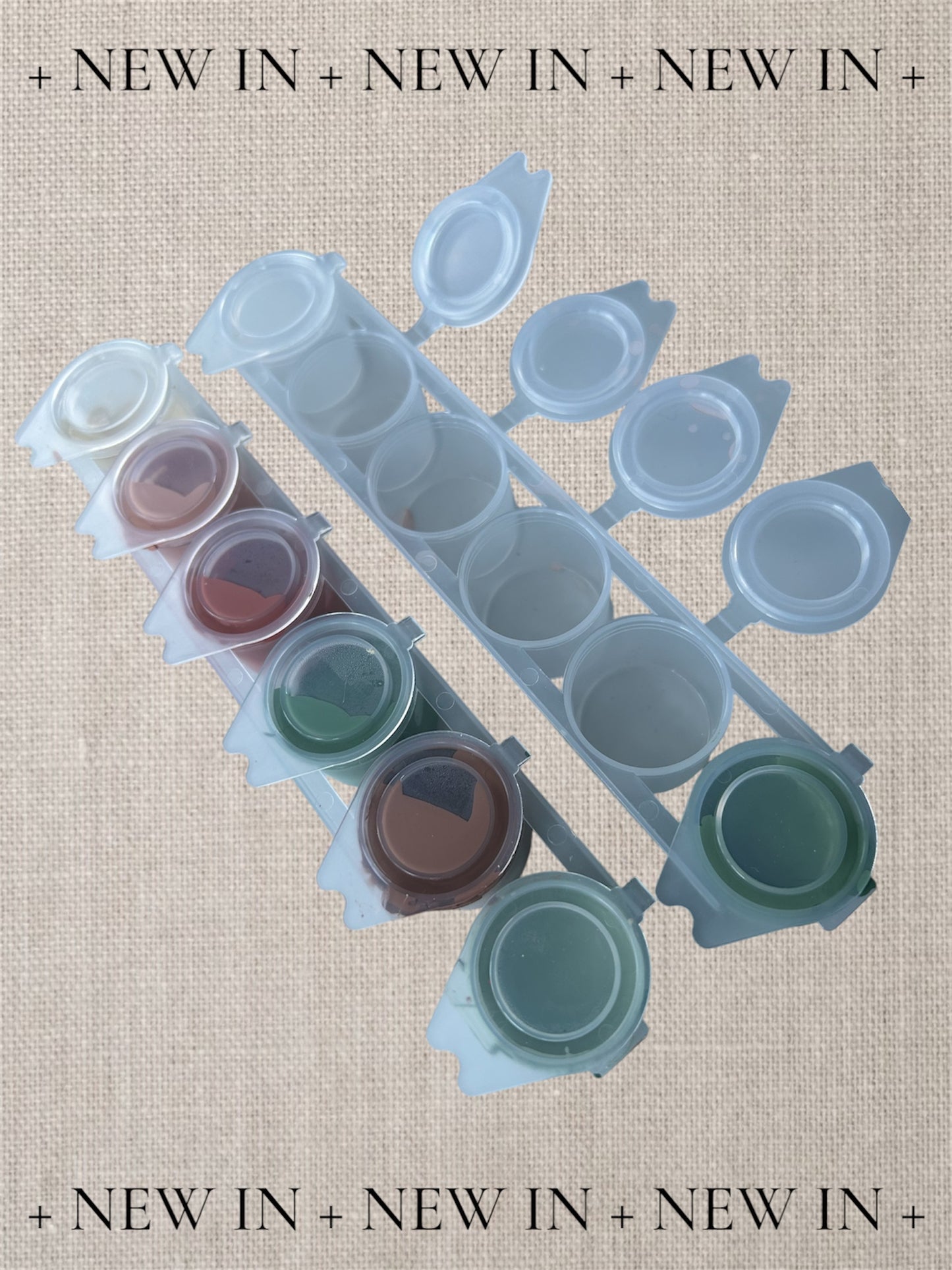 XL Empty Paint Pots 15ml 6-strip