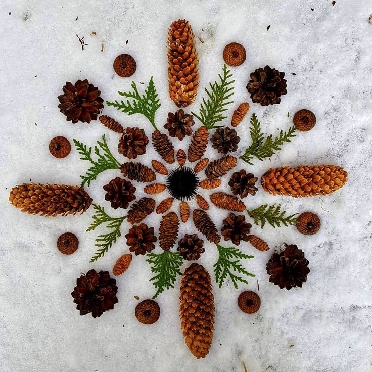Studio Tuesdays: Ground & Gather: A Seasonal Evening of Creativity & Reflection
