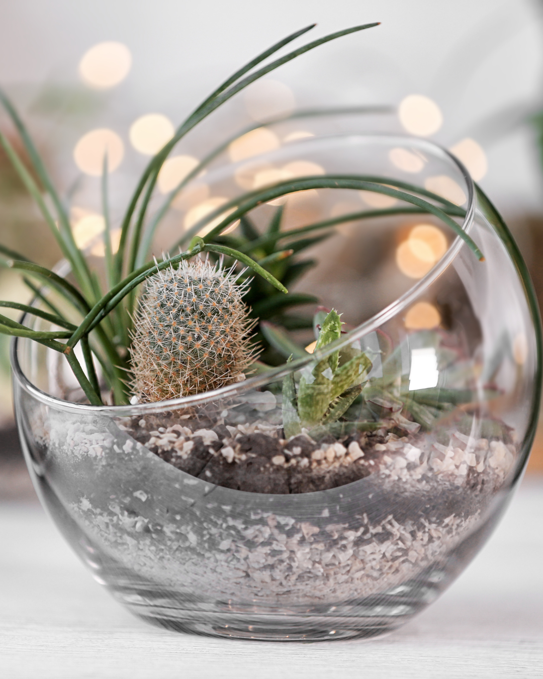 Studio Tuesdays: Terrarium Globe