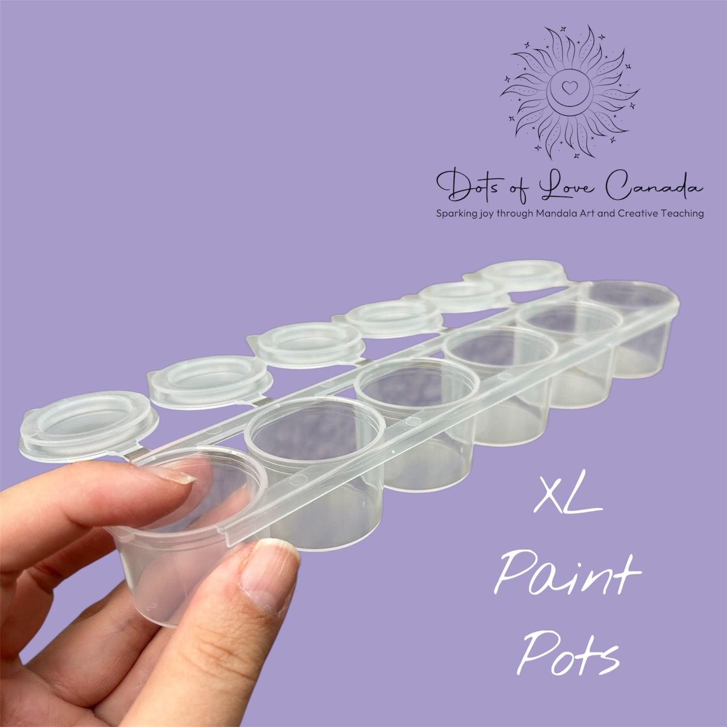 XL Empty Paint Pots 15ml 6-strip